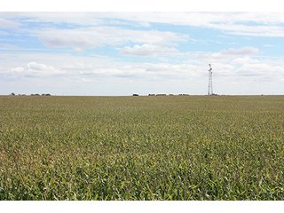 Property photo 5 - LAND AUCTION, 3255+/- Acres offered in 13 Tracts